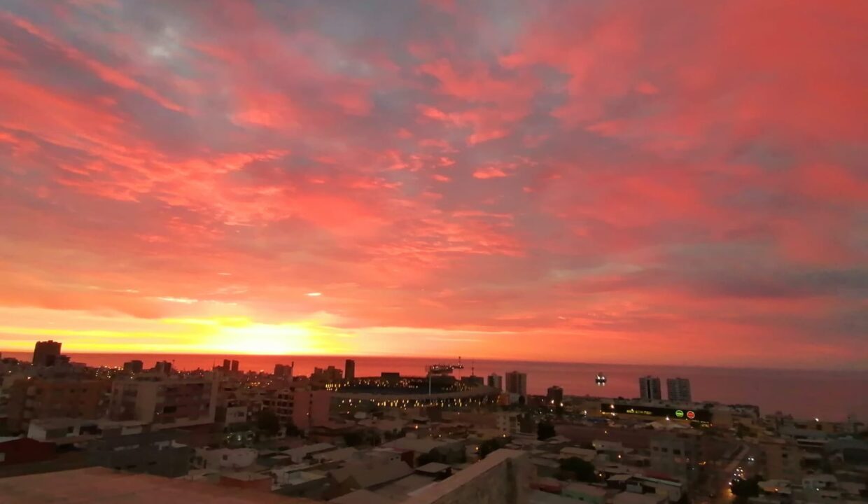 Vista